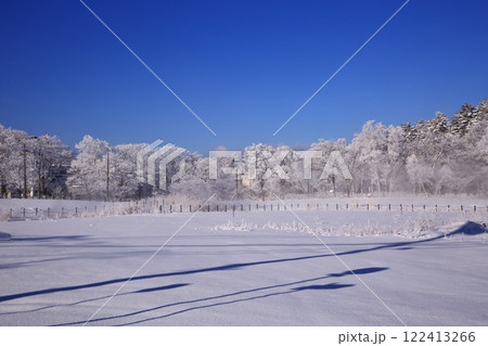樹氷の朝 122413266