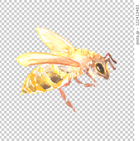 Bee watercolor illustration Bee watercolor illustration 122413483