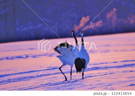 鶴の一声 鶴の一声 122413654