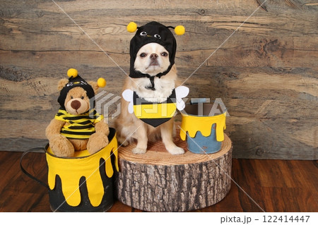 蜂の変装をした可愛いチワワと、はちみつのセット 122414447