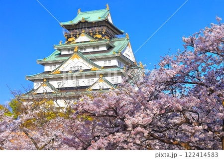 【大阪府】満開の桜と大阪城 122414583