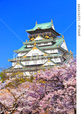 【大阪府】満開の桜と大阪城 【大阪府】満開の桜と大阪城 122414584