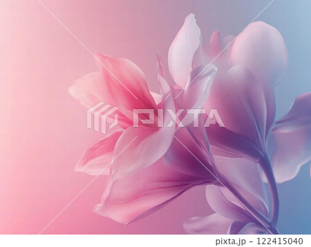Delicate Bloom: A Symphony of Pastel Hues and Soft Petals 122415040