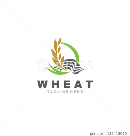 Wheat logo concept, agriculture nature wheat grain logo template Wheat logo concept, agriculture nature wheat grain logo template 122415050