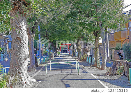 赤塚氷川神社（板橋） 122415316