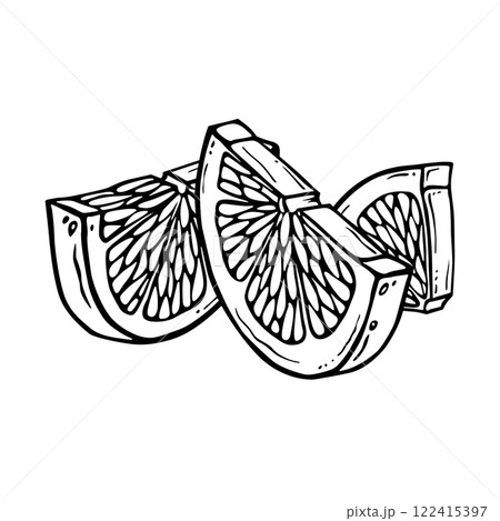 Citrus fruit pieces. Lemon or lime hand drawn ink graphic. Linear drawing. Outline sketch of citron. Black line art of chopped grapefruit for kitchen textiles, packaging, label, menu or other printing Citrus fruit pieces. Lemon or lime hand drawn ink graphic. Linear drawing. Outline sketch of citron. Black line art of chopped grapefruit for kitchen textiles, packaging, label, menu or other printing 122415397