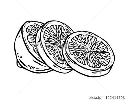 Lemon half sliced on pieces. Free hand ink drawing of citrus round slices. Black lines fruit sketch. Outline illustration in engraving style for menu, logo, printing, textile or utensil design Lemon half sliced on pieces. Free hand ink drawing of citrus round slices. Black lines fruit sketch. Outline illustration in engraving style for menu, logo, printing, textile or utensil design 122415398
