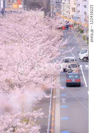 満開の桜と道路 122416225