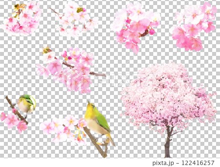 Spring flower illustration material set (cherry blossom 2) 122416257