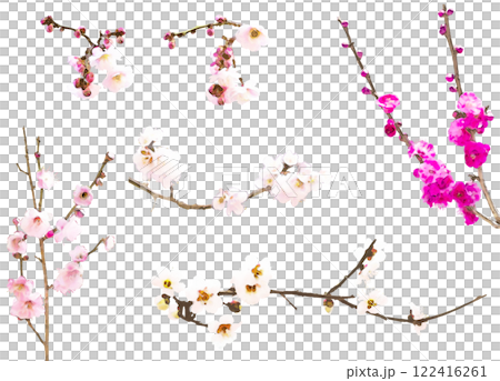 春の花のイラスト素材セット（梅1） 122416261