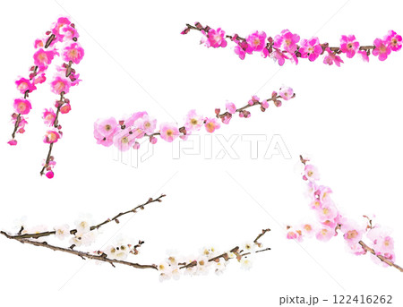 春の花のイラスト素材セット（梅2） 122416262