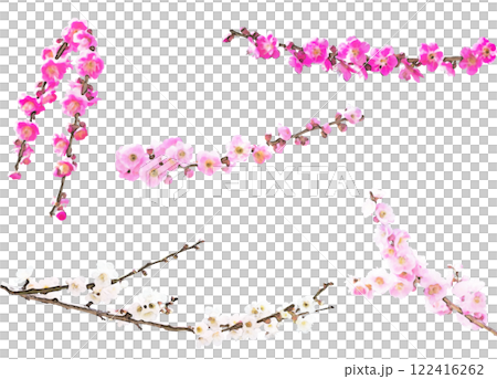 春の花のイラスト素材セット（梅2） 122416262