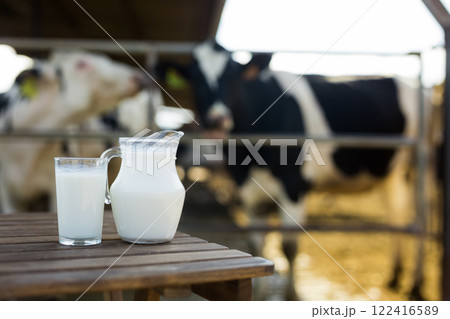 Jug and glass of milk on table against background of cows Jug and glass of milk on table against background of cows 122416589