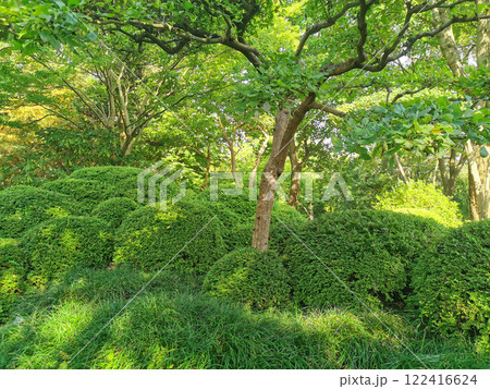 nice spring garden in czech republic nice spring garden in czech republic 122416624