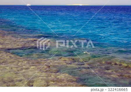 coral sea from egypt coral sea from egypt 122416665