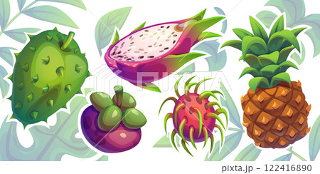 Tropical fruits set Tropical fruits set 122416890