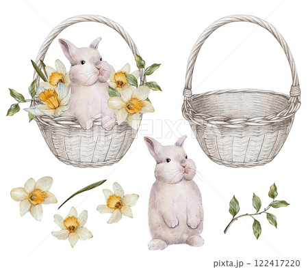 set of Watercolor Bunny in Basket with Daffodils set of Watercolor Bunny in Basket with Daffodils 122417220
