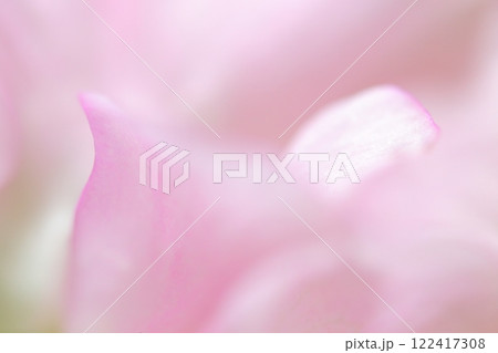 ピンクの花びら 122417308