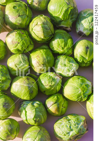 Fresh Brussels sprouts arranged on a flat surface. High quality photo Fresh Brussels sprouts arranged on a flat surface. High quality photo 122417459