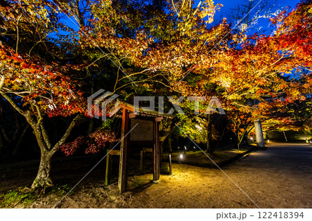宝満宮竈門神社の紅葉ライトアップ【福岡県太宰府市】 宝満宮竈門神社の紅葉ライトアップ【福岡県太宰府市】 122418394