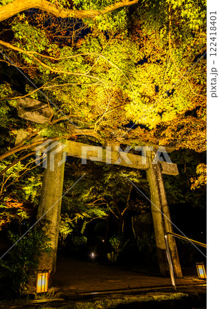 宝満宮竈門神社の紅葉ライトアップ【福岡県太宰府市】 122418401