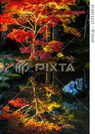宝満宮竈門神社の紅葉ライトアップ【福岡県太宰府市】 122418418