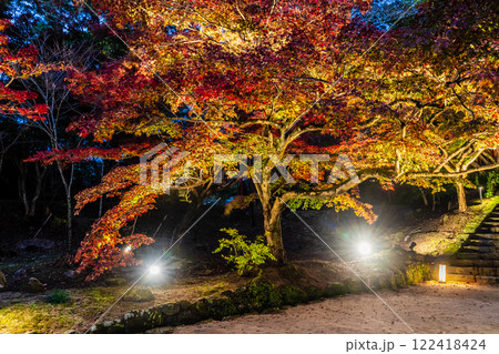 宝満宮竈門神社の紅葉ライトアップ【福岡県太宰府市】 122418424