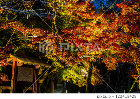 宝満宮竈門神社の紅葉ライトアップ【福岡県太宰府市】 宝満宮竈門神社の紅葉ライトアップ【福岡県太宰府市】 122418429
