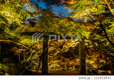 宝満宮竈門神社の紅葉ライトアップ【福岡県太宰府市】 122418431