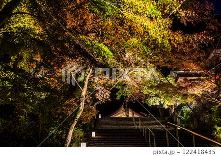 宝満宮竈門神社の紅葉ライトアップ【福岡県太宰府市】 宝満宮竈門神社の紅葉ライトアップ【福岡県太宰府市】 122418435