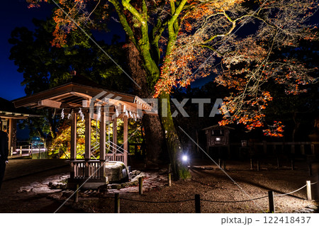 宝満宮竈門神社の紅葉ライトアップ【福岡県太宰府市】 122418437