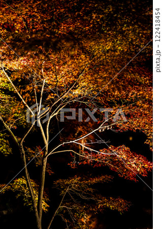 宝満宮竈門神社の紅葉ライトアップ【福岡県太宰府市】 122418454