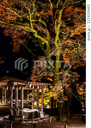 宝満宮竈門神社の紅葉ライトアップ【福岡県太宰府市】 122418465
