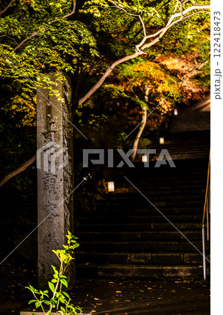 宝満宮竈門神社の紅葉ライトアップ【福岡県太宰府市】 122418473