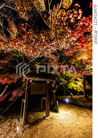 宝満宮竈門神社の紅葉ライトアップ【福岡県太宰府市】 宝満宮竈門神社の紅葉ライトアップ【福岡県太宰府市】 122418479