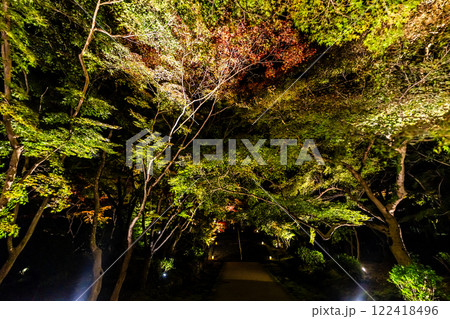 宝満宮竈門神社の紅葉ライトアップ【福岡県太宰府市】 宝満宮竈門神社の紅葉ライトアップ【福岡県太宰府市】 122418496