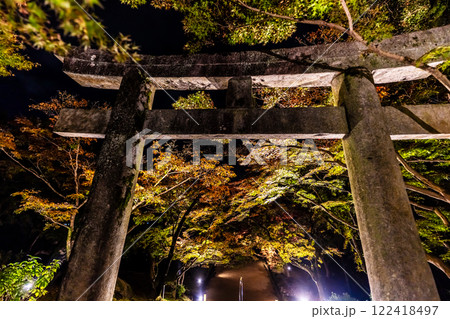 宝満宮竈門神社の紅葉ライトアップ【福岡県太宰府市】 122418497