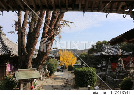 四国霊場14番　常楽寺 122418541