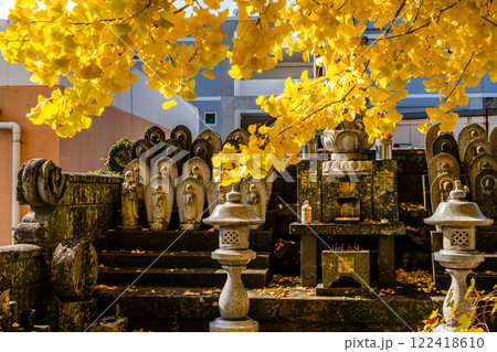 永昌寺の大イチョウの紅葉【長崎市】 永昌寺の大イチョウの紅葉【長崎市】 122418610