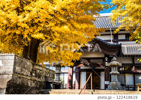 永昌寺の大イチョウの紅葉【長崎市】 122418619