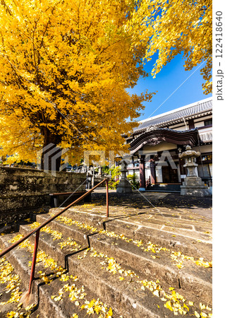 永昌寺の大イチョウの紅葉【長崎市】 永昌寺の大イチョウの紅葉【長崎市】 122418640