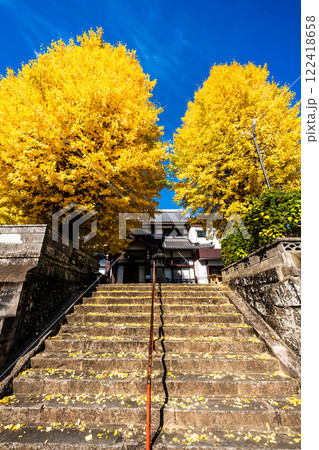 永昌寺の大イチョウの紅葉【長崎市】 122418658