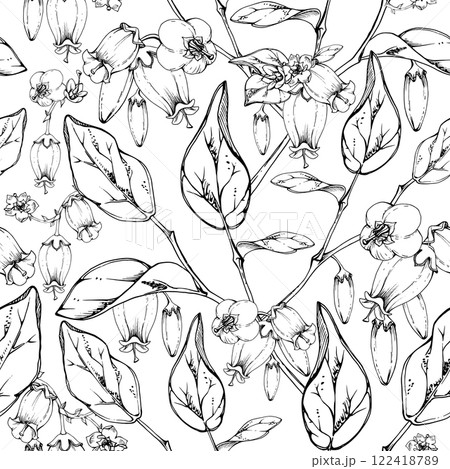 Blueberry white line bell flower and bud with plant leaves on branches, hand drawn in ink vector, wildflower botanical illustration. Seamless isolated pattern for wedding, florist shop, scrapbooking Blueberry white line bell flower and bud with plant leaves on branches, hand drawn in ink vector, wildflower botanical illustration. Seamless isolated pattern for wedding, florist shop, scrapbooking 122418789