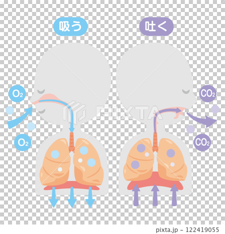 A simple profile illustration of a person breathing 122419055