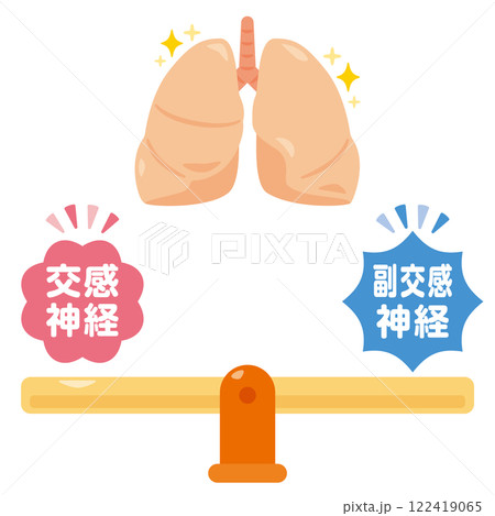 バランスの取れた自律神経と健康的な肺のイラスト バランスの取れた自律神経と健康的な肺のイラスト 122419065