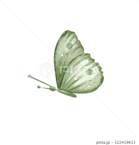Butterfly. Drawn in watercolors in pastel colors. Hand drawn illustration. Can be used for greeting cards, banners, wallpapers, greeting cards. 122419611