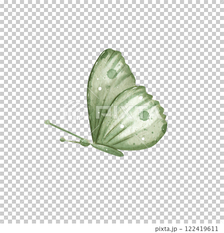 Butterfly. Drawn in watercolors in pastel colors. Hand drawn illustration. Can be used for greeting cards, banners, wallpapers, greeting cards. 122419611