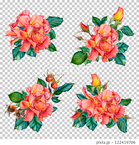 Watercolor rose flowers in red-yellow colors with green leaves. Hand drawn floral illustration for wedding invitations or greeting cards on isolated background. Botanical clip art of blooming plants. Watercolor rose flowers in red-yellow colors with green leaves. Hand drawn floral illustration for wedding invitations or greeting cards on isolated background. Botanical clip art of blooming plants. 122419706