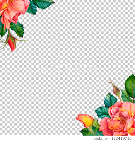 Blank for text with red-yellow roses, buds and leaves in the corner. Watercolor botanical illustration. Hand drawn flowers on Isolated background. Empty space for an inscription. Design for cards. 122419710