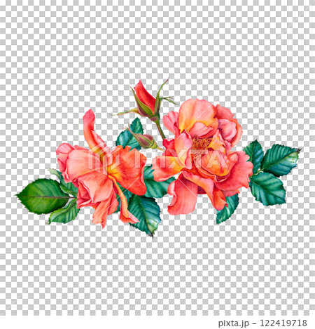 Floral composition of red-yellow roses, buds and leaves. Watercolor botanical illustration. Hand drawn flowers on Isolated background. Use for valentine's day, wedding, birthday cards or invitations. Floral composition of red-yellow roses, buds and leaves. Watercolor botanical illustration. Hand drawn flowers on Isolated background. Use for valentine's day, wedding, birthday cards or invitations. 122419718